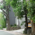 DSCN1008