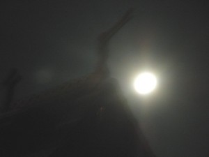 dscn0142
